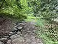 Via Celtica/Arvena, branche Mont Celticus (Plomb du Cantal).