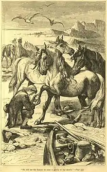 Dessin en noir et blanc d'un homme posant un genou à terre et baissant la tête pour saluer un cheval qui lui tend sa patte. D'autres chevaux l'entourent sur un décor de plage avec la proue d'un petit bateau et des mouettes dans le ciel.