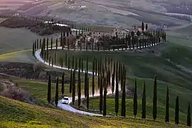 Une route de cyprès dans Crete senesi. Mars 2019.