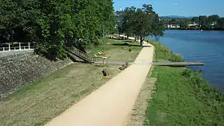 Berges de l'Allier en amont du pont