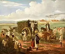 Víctor Patricio (Cuba), Corte de Cana (« Récolte de canne à sucre », 1874, Musée national des Beaux-Arts).