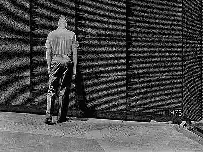 Vietnam Veterans Memorial (Washington, DC)