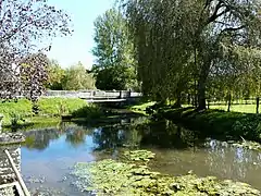 La Belle à Vieux-Mareuil.