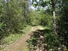 Au nord du lieu-dit la Salle, sur le GR 36.