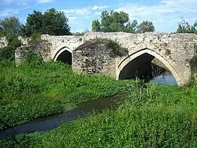 Photographie du pont, sur le Thouet, très encombré de végétation.