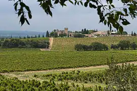 Vue du vignoble et du domaine voisin depuis La Nerthe