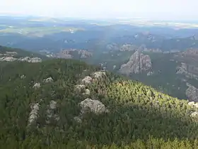 Photographie des Black Hills depuis le pic Black Elk.