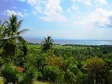 Photo. Paysage d'île des Caraïbes à la végétation luxuriante