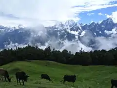 Alpages à Auli. La Transhumance régit encore la vie des éleveurs des vallées les plus isolées.