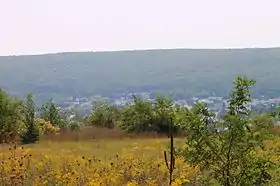 Mount Carmel (Pennsylvanie)