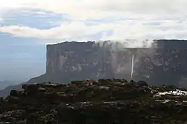 Salto Kukenan vu du tepuy Roraima