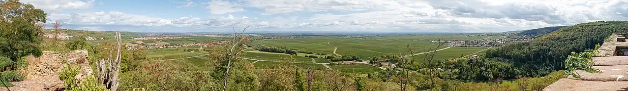 Vue du château sur la plaine du Rhin