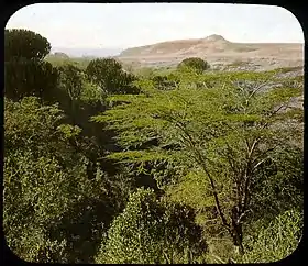 Vue sur l'escarpement, 1906