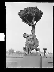 Femme assise sur un arbre