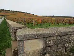 Domaine de la Romanée-Conti à Vosne-Romanée.