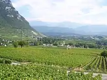 Le vignoble de Chignin (AOC) dans la cluse de Chambéry
