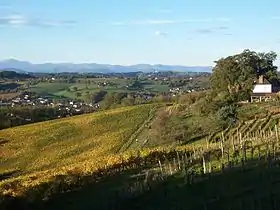 Paysage vallonné à Monein.