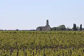 Vue depuis le vignoble de Pauillac.