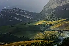 Vignoble de l'AOC Patrimonio en automne