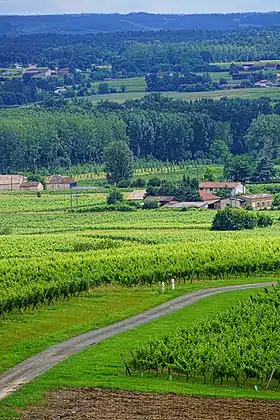 Image illustrative de l’article Coteaux-et-terrasses-de-montauban