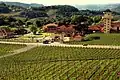 Vallée des vignobles à Bento Gonçalves, Rio Grande do Sul