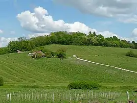 Image illustrative de l’article Côtes-de-bergerac