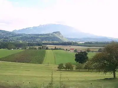 Image illustrative de l’article Bugey (AOC)