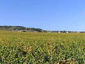 Image illustrative de l’article Volnay (AOC)