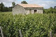 Vignobles de Moulis-en-Médoc