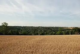 Bocage résidentiel vigouletain (Hauts de Vigoulet et La Guérinière) entre le bois de Lavergne à gauche et Mervilla à droite