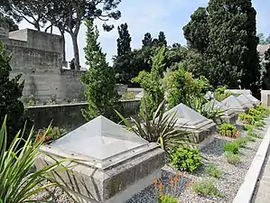 Jardin suspendu sur terrasses sud, le labyrinthe.