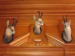 Trophées de chamois, Villa Maund, Autriche.