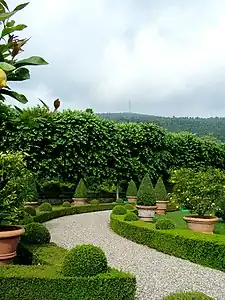 Le jardin de citronniers en pot de Limonaia à l'avant de la villa.