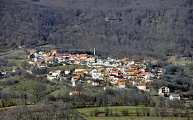 Buča