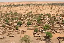 Migration environnementale. Des précipitations plus rares entraînent une désertification qui nuit à l'agriculture et peut déplacer des populations. Illustré : Telly, Mali.