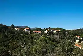 Montauriol (Pyrénées-Orientales)