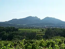 Vignoble et village de Vacqueyras dans la brume matinale (sur fond de Dentelles de Montmirail)