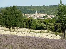 Le village de Saint-Remèze.