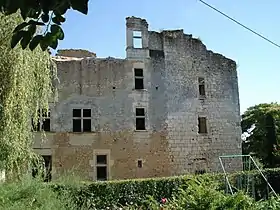 Ruines du château de Barrière