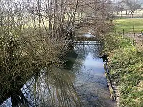 Photographie en couleurs d'un ruisseau.