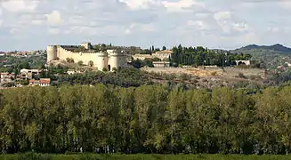 Vue sur le fort Saint-André depuis Avignon.