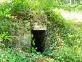 Fontaine Saint-Barthélémy, forêt d'Halatte, parcelle 55.