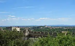 Le palais des papes vu depuis le fort Saint-André.