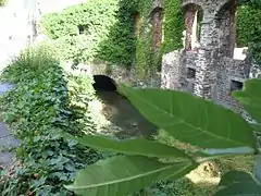 La rivière Thyle passant dans les ruines de l'abbaye.