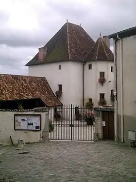 Grosse-Maison de Villey-Saint-Étiennecolombier, tourelle, escalier, sous sol, élévation, toiture, mur