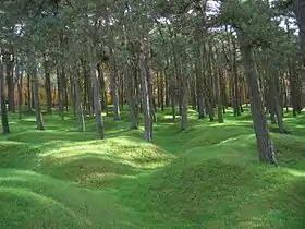 Le Mémorial de vimy.