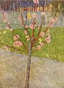 Pêcher en fleur, 1888Musée Van Gogh