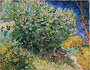 Vincent van Gogh, Lilas (1889), Saint-Pétersbourg, musée de l'Ermitage.