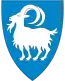 Blason de Vinje