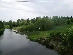 Rivière Virojoki.